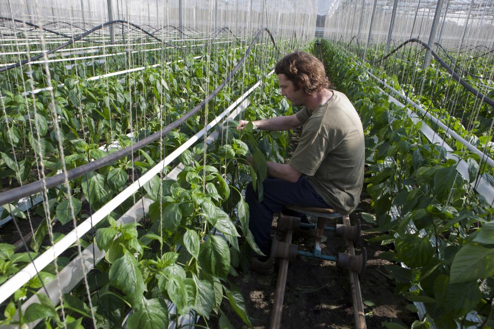 Organic agriculture in the Netherlands