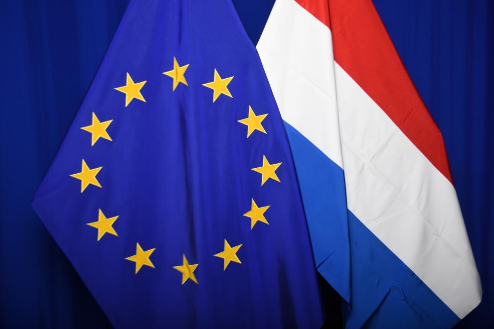 Flag of each of the EU Member States, alongside the European flag