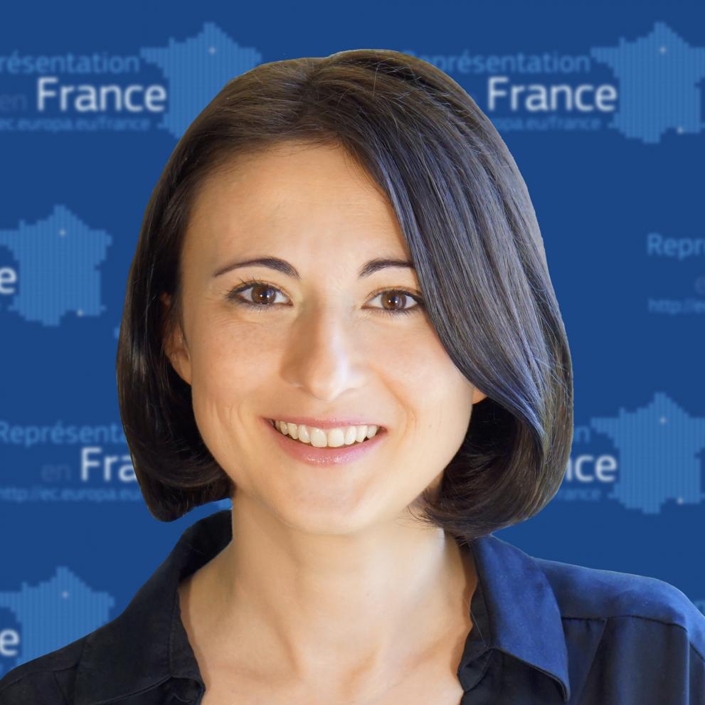 Adina Revol, Représentation de la Commission européenne en France