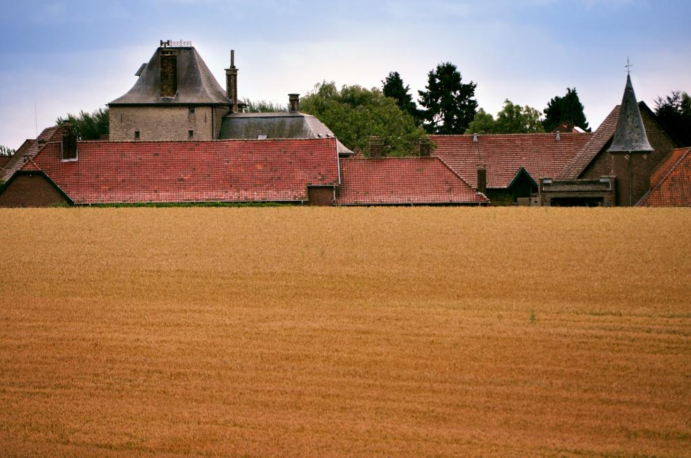 ruralité